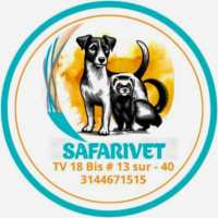 SAELVET 2.0